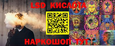 ПСИЛОЦИБИНОВЫЕ ГРИБЫ Коммунар