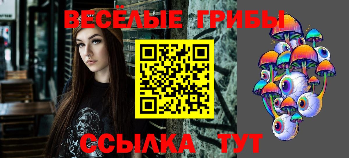 Псилоцибиновые грибы Psilocybine cubensis Красногорск