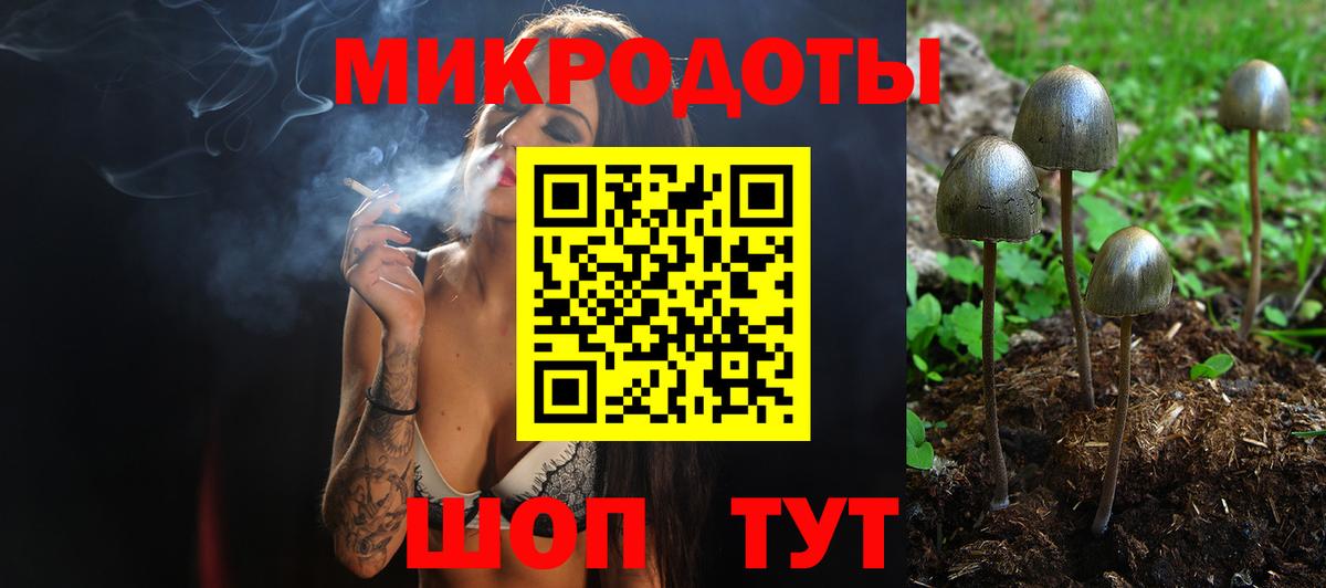 Галлюциногенные грибы Psilocybine cubensis  Вход с VPN  Красногорск 